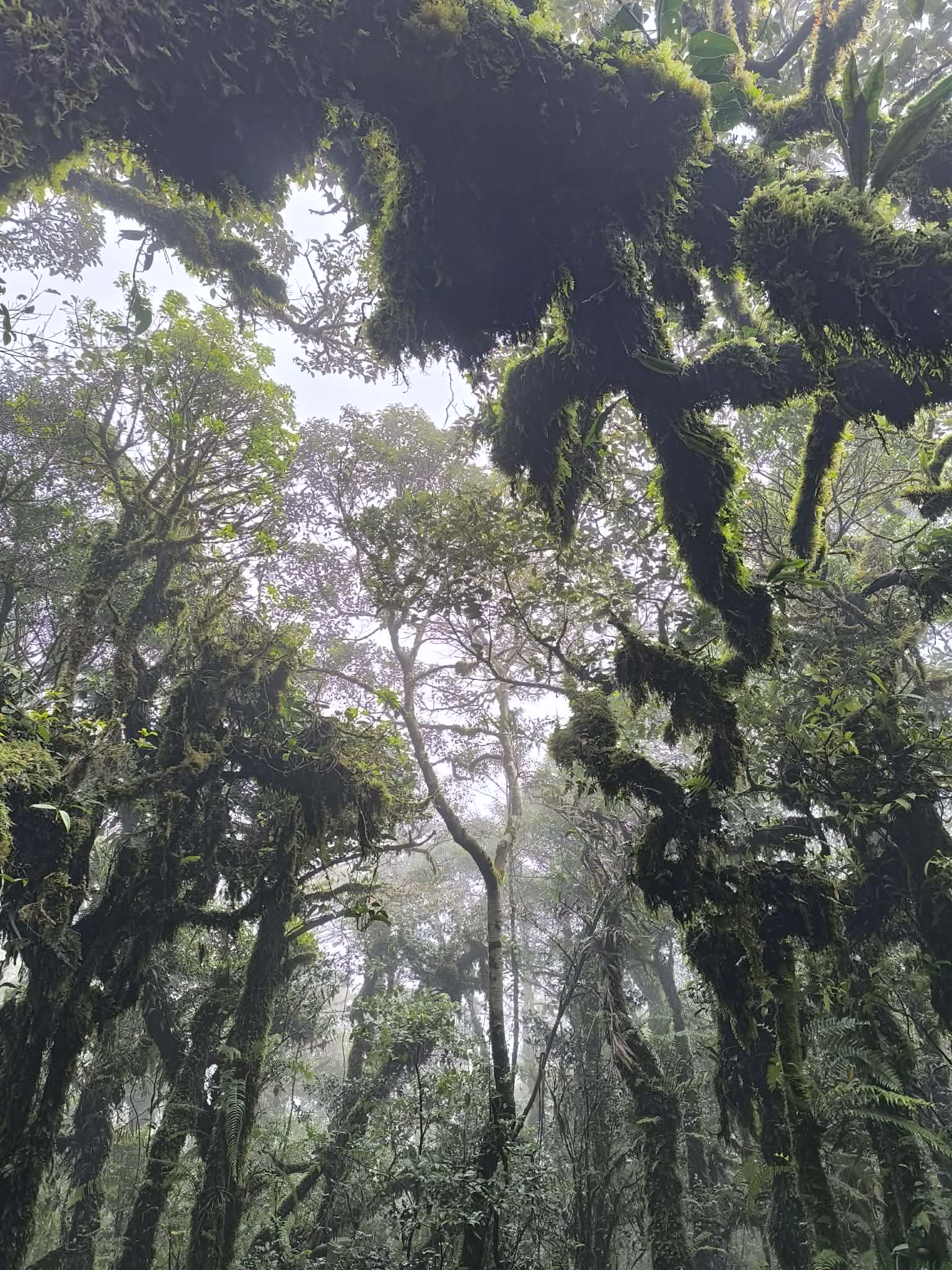 ทัวร์เดินป่าแค้มป์ปิ้งท่องเที่ยวทริปเขาหลัก พัทลุง 3 คืน 2 วัน