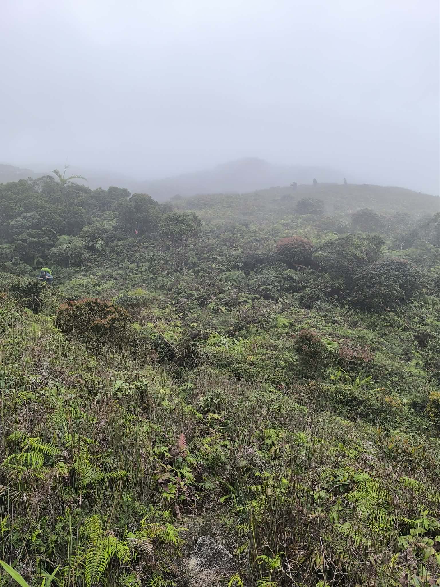 ทัวร์เดินป่าแค้มป์ปิ้งท่องเที่ยวทริปเขาหลัก พัทลุง 3 คืน 2 วัน