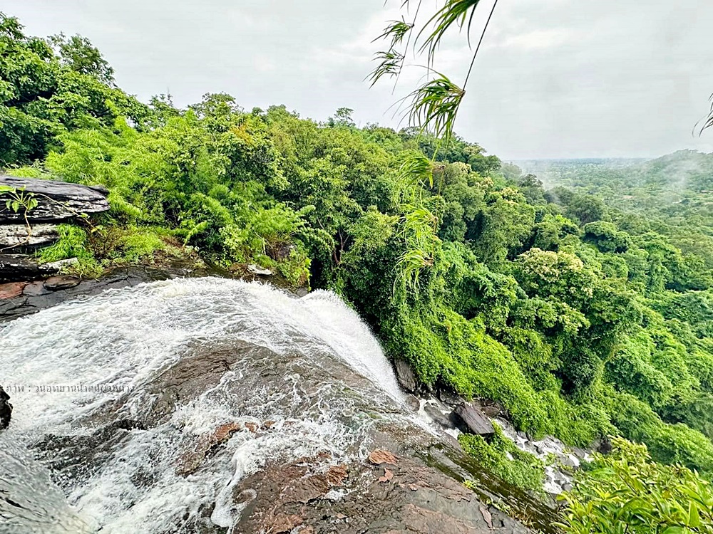 ทัวร์เดินป่าแค้มป์ปิ้งท่องเที่ยวทริปวนอุทยานน้ำตกผาหลวง