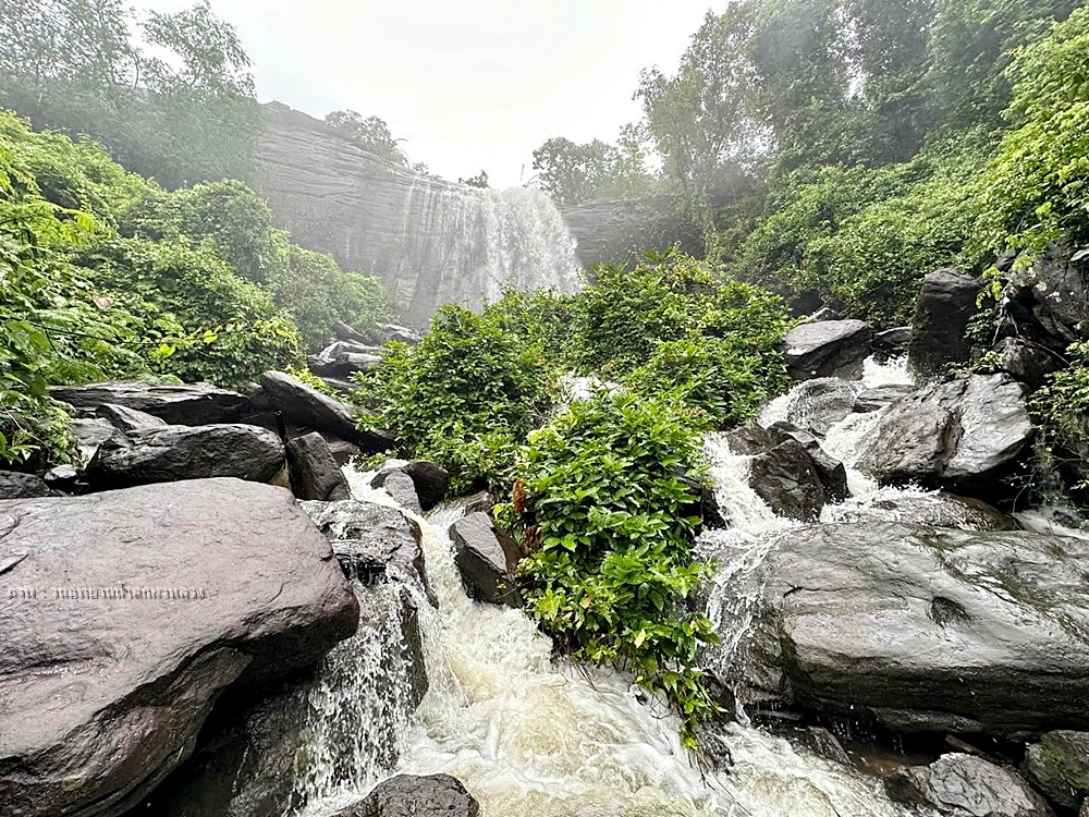 ทัวร์เดินป่าแค้มป์ปิ้งท่องเที่ยวทริปวนอุทยานน้ำตกผาหลวง