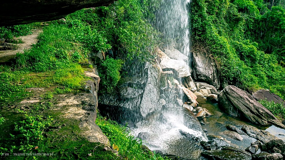 ทัวร์เดินป่าแค้มป์ปิ้งท่องเที่ยวทริปวนอุทยานน้ำตกผาหลวง