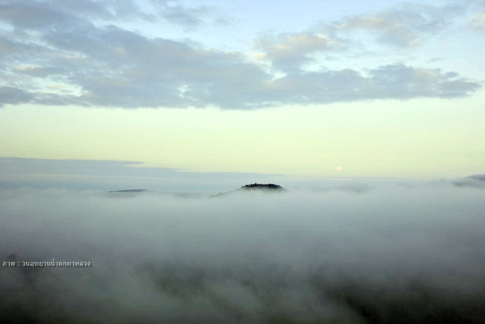 ทัวร์เดินป่าแค้มป์ปิ้งท่องเที่ยวทริปวนอุทยานน้ำตกผาหลวง