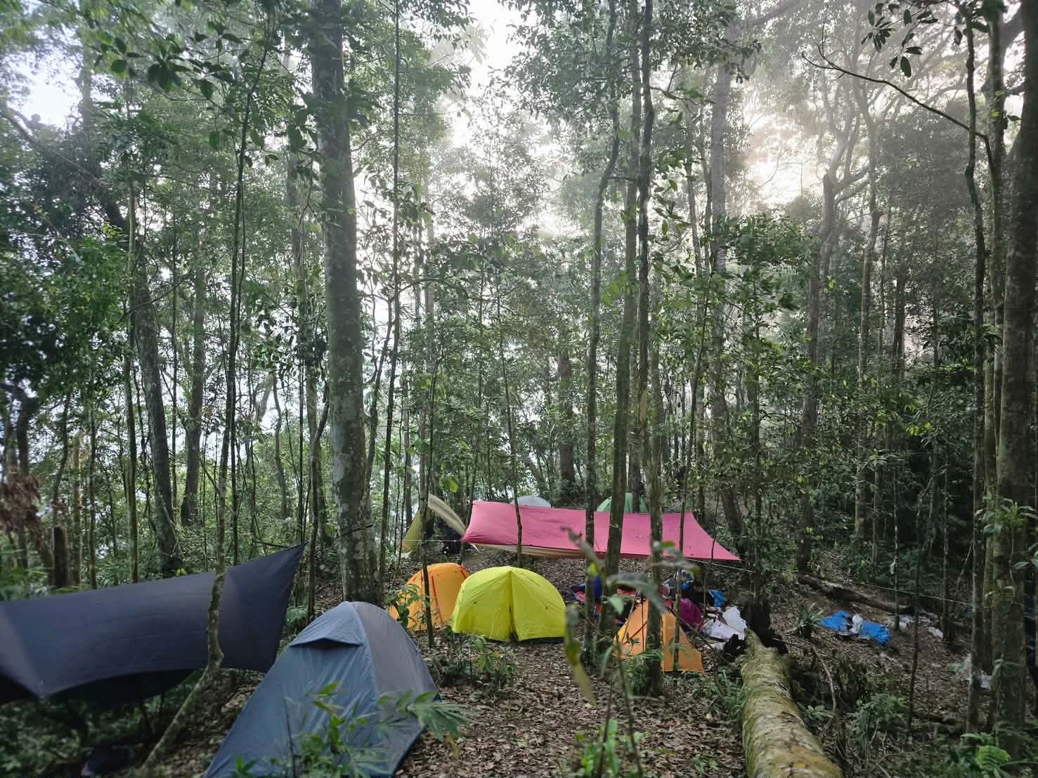 ทัวร์เดินป่าแค้มป์ปิ้งท่องเที่ยวทริปผาพญาไม้