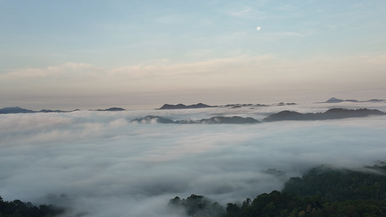 ทัวร์เดินป่าแค้มป์ปิ้งท่องเที่ยวทริปผาพญาไม้