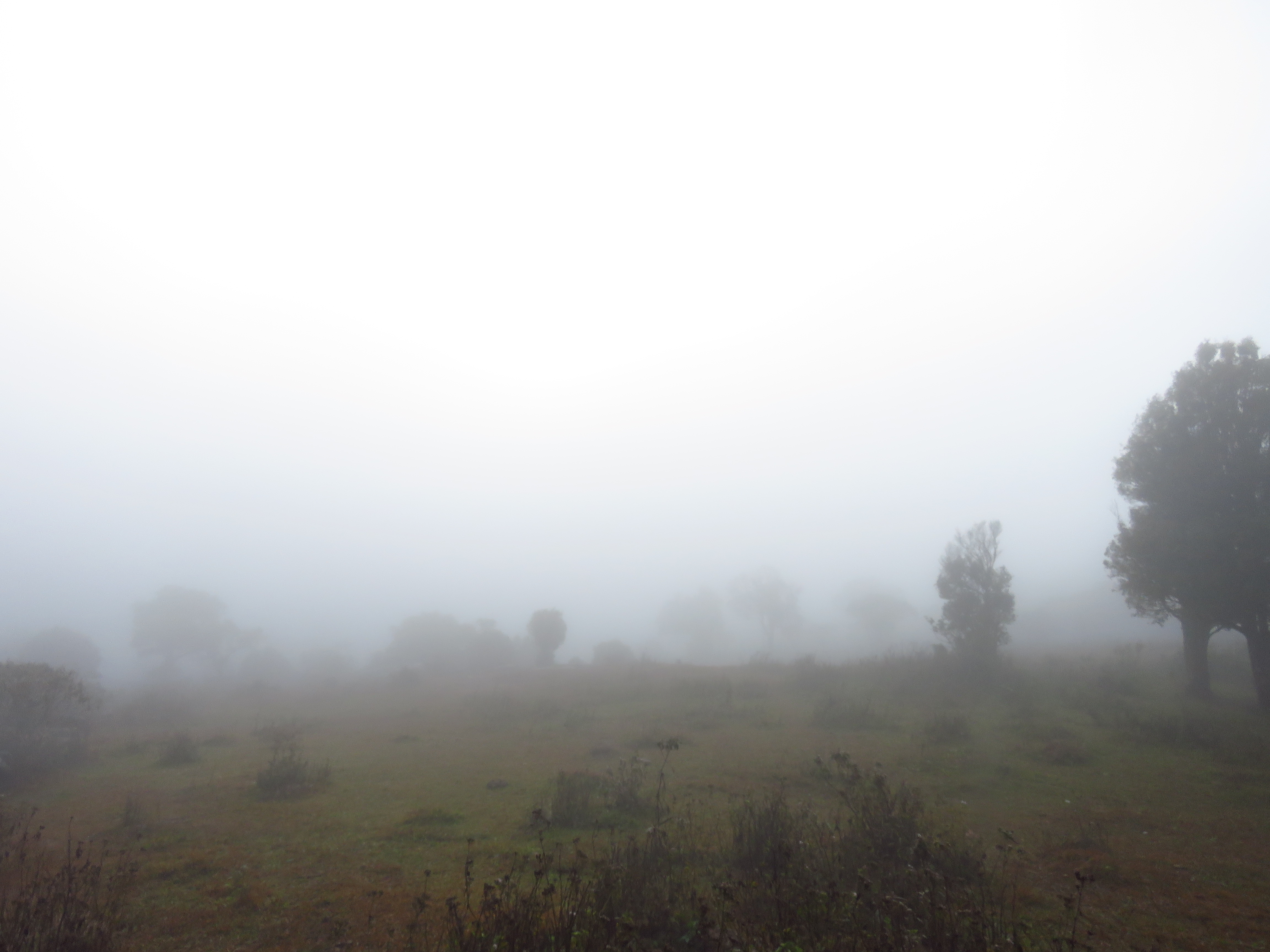 ทัวร์เดินป่าแค้มป์ปิ้งท่องเที่ยวทริปทุ่งกะมัง_ภูเขียว